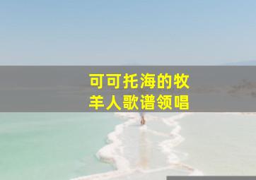 可可托海的牧羊人歌谱领唱