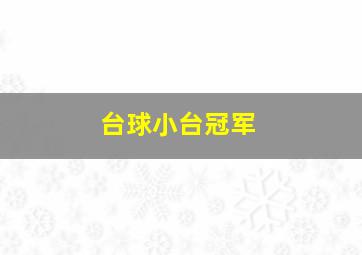 台球小台冠军