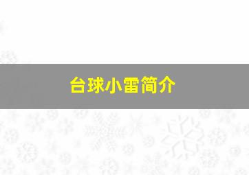 台球小雷简介