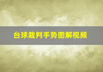 台球裁判手势图解视频