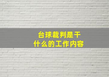 台球裁判是干什么的工作内容