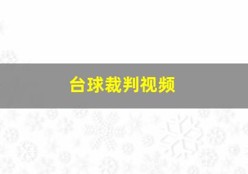 台球裁判视频