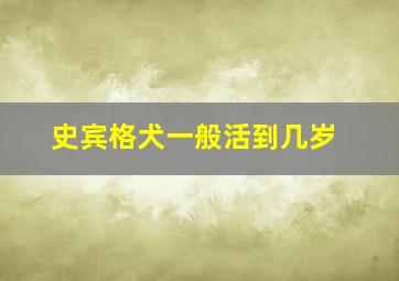 史宾格犬一般活到几岁