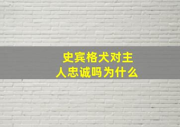 史宾格犬对主人忠诚吗为什么