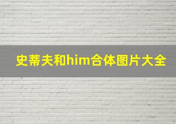 史蒂夫和him合体图片大全