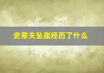 史蒂夫坠崖经历了什么