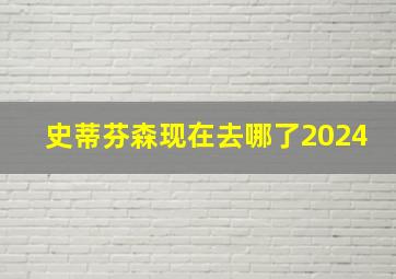 史蒂芬森现在去哪了2024