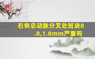 右侧总动脉分叉处斑块8.8,1.8mm严重吗