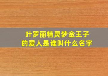 叶罗丽精灵梦金王子的爱人是谁叫什么名字