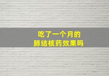 吃了一个月的肺结核药效果吗