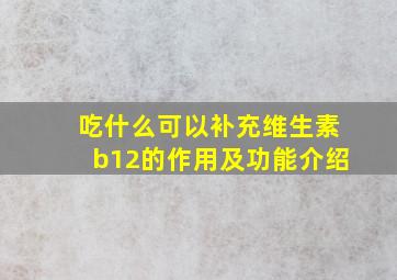 吃什么可以补充维生素b12的作用及功能介绍