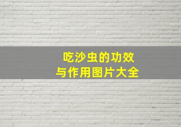 吃沙虫的功效与作用图片大全