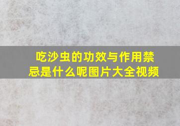 吃沙虫的功效与作用禁忌是什么呢图片大全视频