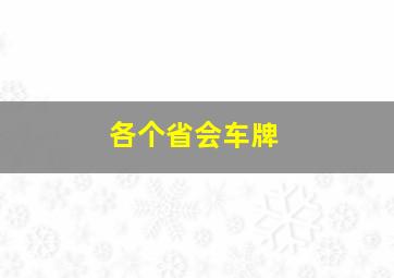 各个省会车牌