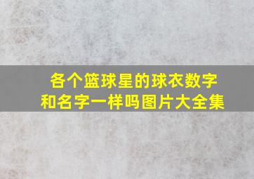 各个篮球星的球衣数字和名字一样吗图片大全集