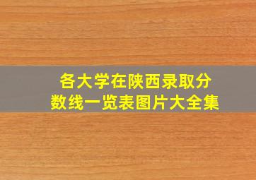 各大学在陕西录取分数线一览表图片大全集