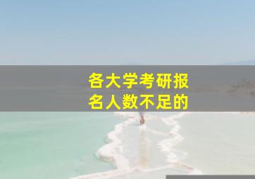 各大学考研报名人数不足的