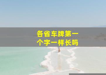 各省车牌第一个字一样长吗