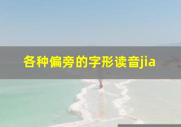 各种偏旁的字形读音jia