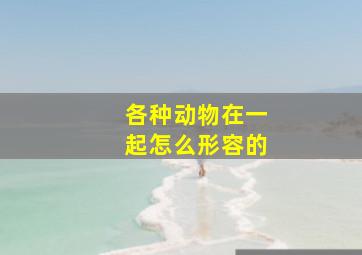 各种动物在一起怎么形容的