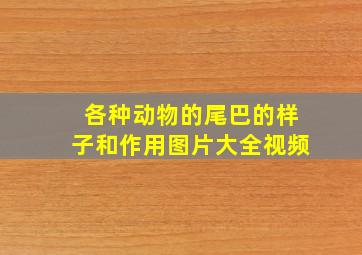 各种动物的尾巴的样子和作用图片大全视频