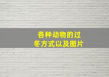 各种动物的过冬方式以及图片