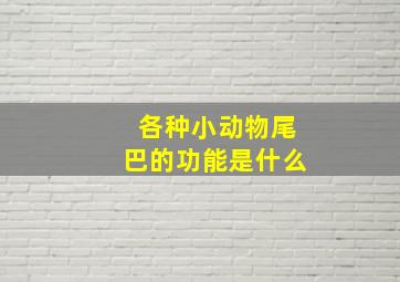 各种小动物尾巴的功能是什么