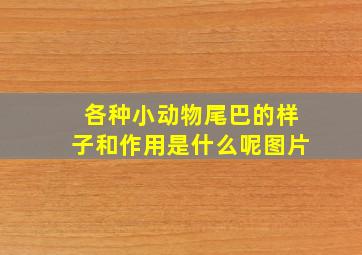 各种小动物尾巴的样子和作用是什么呢图片