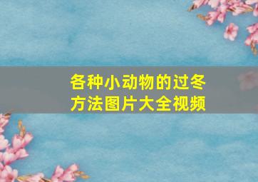 各种小动物的过冬方法图片大全视频