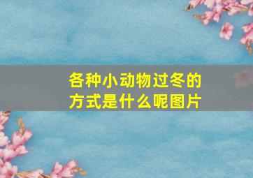 各种小动物过冬的方式是什么呢图片