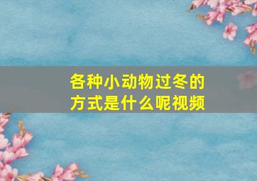 各种小动物过冬的方式是什么呢视频