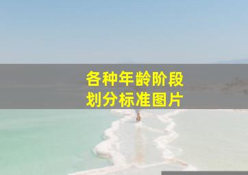 各种年龄阶段划分标准图片