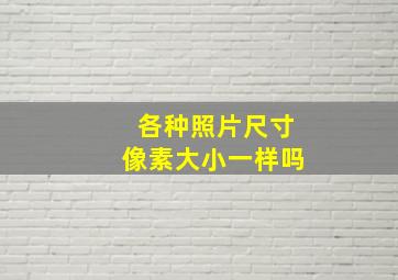 各种照片尺寸像素大小一样吗