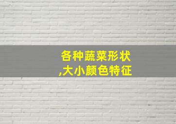 各种蔬菜形状,大小颜色特征