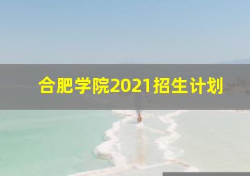 合肥学院2021招生计划