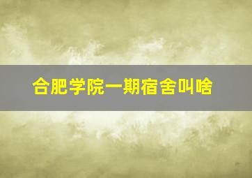 合肥学院一期宿舍叫啥