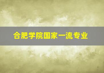 合肥学院国家一流专业