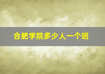 合肥学院多少人一个班