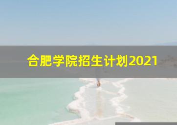 合肥学院招生计划2021