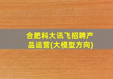 合肥科大讯飞招聘产品运营(大模型方向)