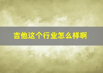 吉他这个行业怎么样啊