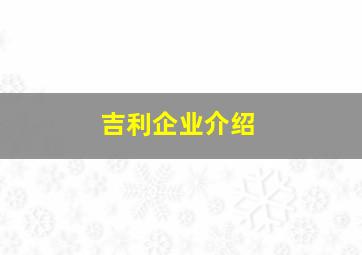 吉利企业介绍