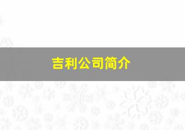 吉利公司简介