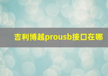 吉利博越prousb接口在哪