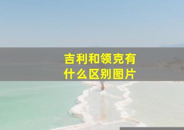 吉利和领克有什么区别图片