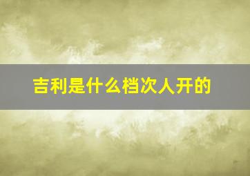 吉利是什么档次人开的