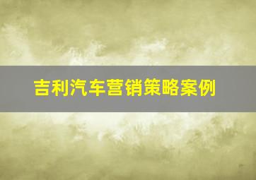 吉利汽车营销策略案例