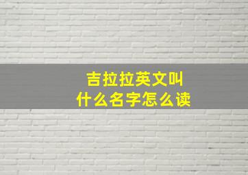 吉拉拉英文叫什么名字怎么读