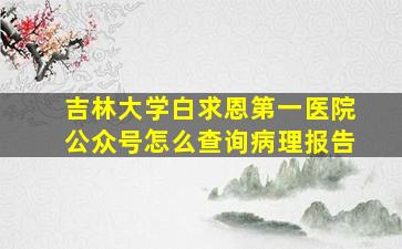 吉林大学白求恩第一医院公众号怎么查询病理报告