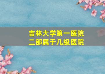 吉林大学第一医院二部属于几级医院